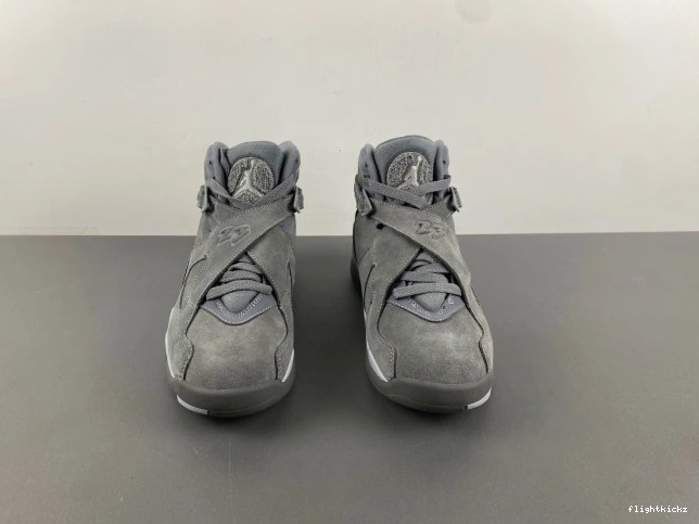 Retro Jordan 8 305381-014 Grey Cool 1016